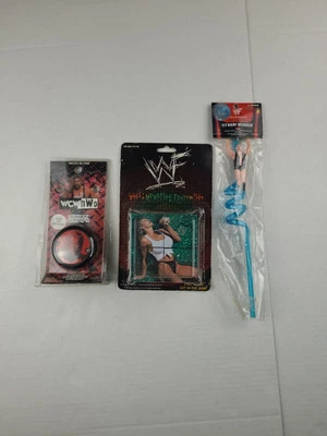 NUEVO WWF SABLE Cubo Profesional Juguete De Colección Diva Lote Coleccionable Wcw Yoyo Stone Cold Wwe Foto 1 de 4