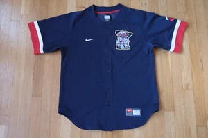 Vintage Minnesota Twins Blue Nike MLB Baseball Jersey Mens Small - Picture 1 of 5
