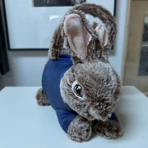 Dan Dee PETER RABBIT Plush Easter Bunny Basket 2024 - Picture 1 of 5