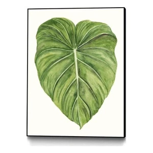 Giant Art Canvas  24x32 Tropical Breeze Leaves II Framed in White - Picture 1 of 3