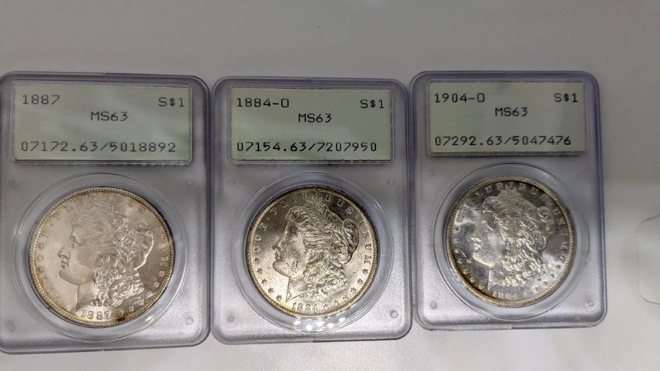 Lot of 3 PCGS MS 63 Morgan Silver Dollars OGH Uncirculated Rattlers - Image 1 of 4