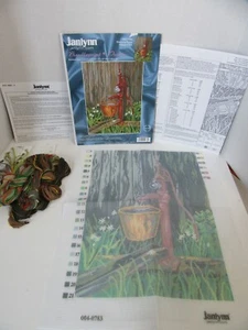 Janlynn Needlepoint Kit 004-0783 Watering Pump 12x16 Open Kit 14 Mesh - Picture 1 of 3