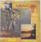 Friends Again-Sunkissed [Phonogram,1983,Vinyl:Ex] 12? 45Rpm * Pre Love And Money