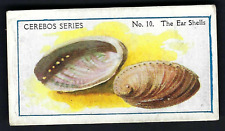 CEREBOS - SEA SHELLS - #10 THE EAR SHELLS