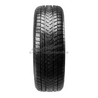 Gripmax Winterreifen 265/30 R19 93V 3PMSF XL | 9852 - Bild 1 von 3
