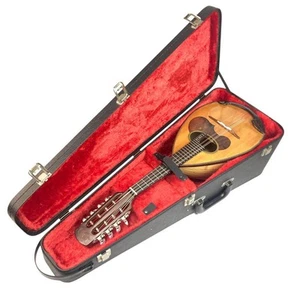 Suzuki Mandoline M-30 8-saitig mit vertikalem Hartschalenkoffer - Bild 1 von 11