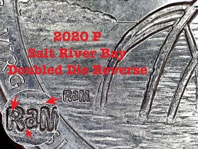 Cuarto de error P Salt River Bay 2020 - RDA doble matriz reversa diseñadores iniciales Foto 1 de 3