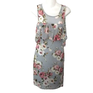 Potters Pot Women's Sleeveless Floral Dress Mesh Size M Medium Gray - Picture 1 of 7