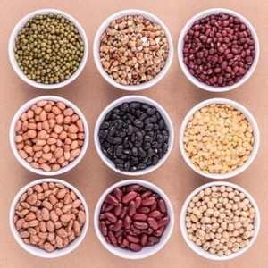 Bulk Dried Beans (select flavor/size below) - Picture 1 of 25
