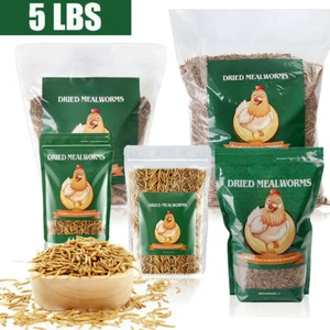 5 LBS Dried Mealworms for chickens Birds Bluebirds Hamsters Hen Meal Worms - Picture 1 of 9