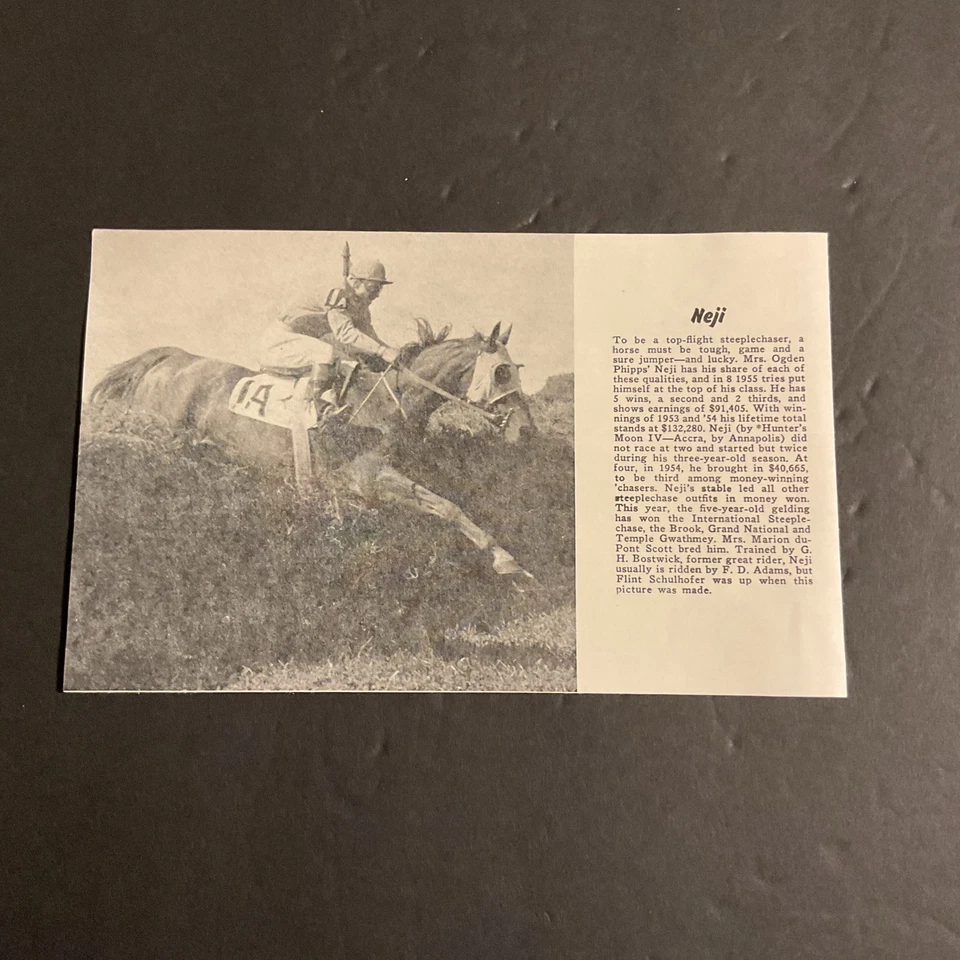 NEJI  photo Horse Racing AMERICAN GRAND NATIONAL - Image 1 of 1