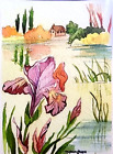 ACEO ORIGINAL FLOWER "IRIS BY THE BROOK" PRINT LIMITED EDITION  1/25 NEW