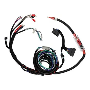 Arnés Plug and Play DS18 JL para barra de sonido y amplificador Jeep JL - Imagen 1 de 8