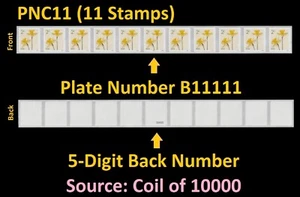 US 5903 Flowers Daffodils 2c #on# PNC11 B11111 5d back # MNH 2024 - Picture 1 of 1