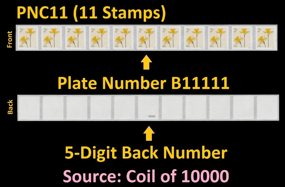 US 5903 Flowers Daffodils 2c #on# PNC11 B11111 5d back # MNH 2024 - Image 1 of 1