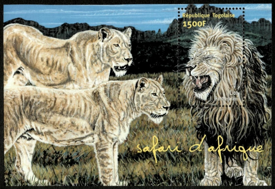 Togo 2002 - Safari africano, león - Hoja de estampillas de recuerdo - Scott 1989 - MNH Foto 1 de 1