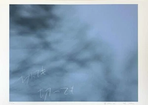 Kosai (Kousai) Hori "SKY 10" Original Silkscreen S/N - Bild 1 von 1