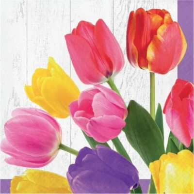 CREATIVE CONVERTING Tulip Bouquet Lunch Paper Napkins 16 Pack Flowers Floral Spring Tableware