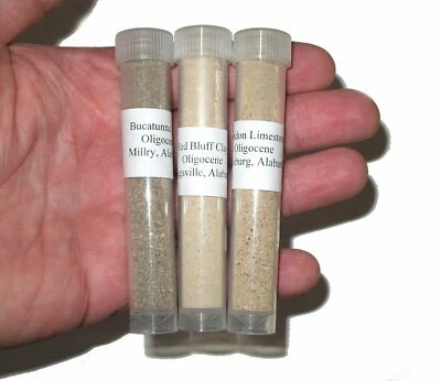 Oligocene Alabama foraminifera microfossil fossil matrix 3 LARGE vials teaching - Image 1 of 4