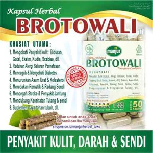 BROTOWALI Caps Natural Organic Herbs Spices Fresh Pure Hygienic Premium - Picture 1 of 8