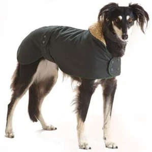 Water & Windproof Greyhound Hunter Dog Coat Made in England - Picture 1 of 11