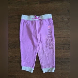 Disney Jumping Beans 2T Purple "Princess In Training" Joggers - Picture 1 of 7