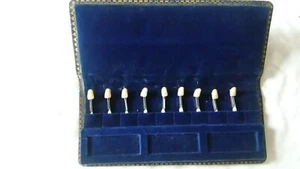 Vintage Anatoform New Hue Porcelain Teeth in Amalgamated Dental Case - Picture 1 of 4