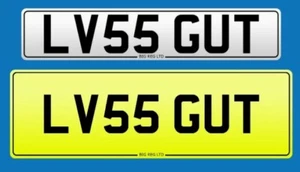 ❤ LOVES LV55 GUT LOVE PRIVATE REGISTRATION CHERISHED NUMBER PLATE FEES INCLUDED - Picture 1 of 1