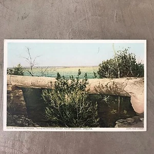 Vintage Fred Harvey Petrified Bridge Arizona Postcard - Picture 1 of 5