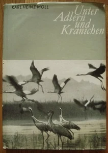 German photo album "Among eagles and cranes at the Great Lake" by Karl Moll 1970 - Picture 1 of 6