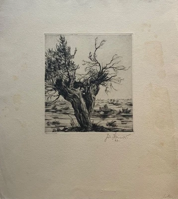 Radierung von Josef Steiner 1926 Landschaft mit alter Weide - Bild 1 von 4