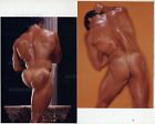 GAY: Vtg 1980s Male Beefcake 5x7ish Photo Lot COLT OF THE WEEK: B...B...BUTT 33j