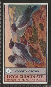 FRYS-BIRDS & POULTRY 1912-#01- HOODED CROWS - Picture 1 of 2