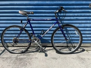 Vintage Diamondback Ascent Mountain Bike 19” Chromoly Shimano 18 Speed  - Picture 1 of 15