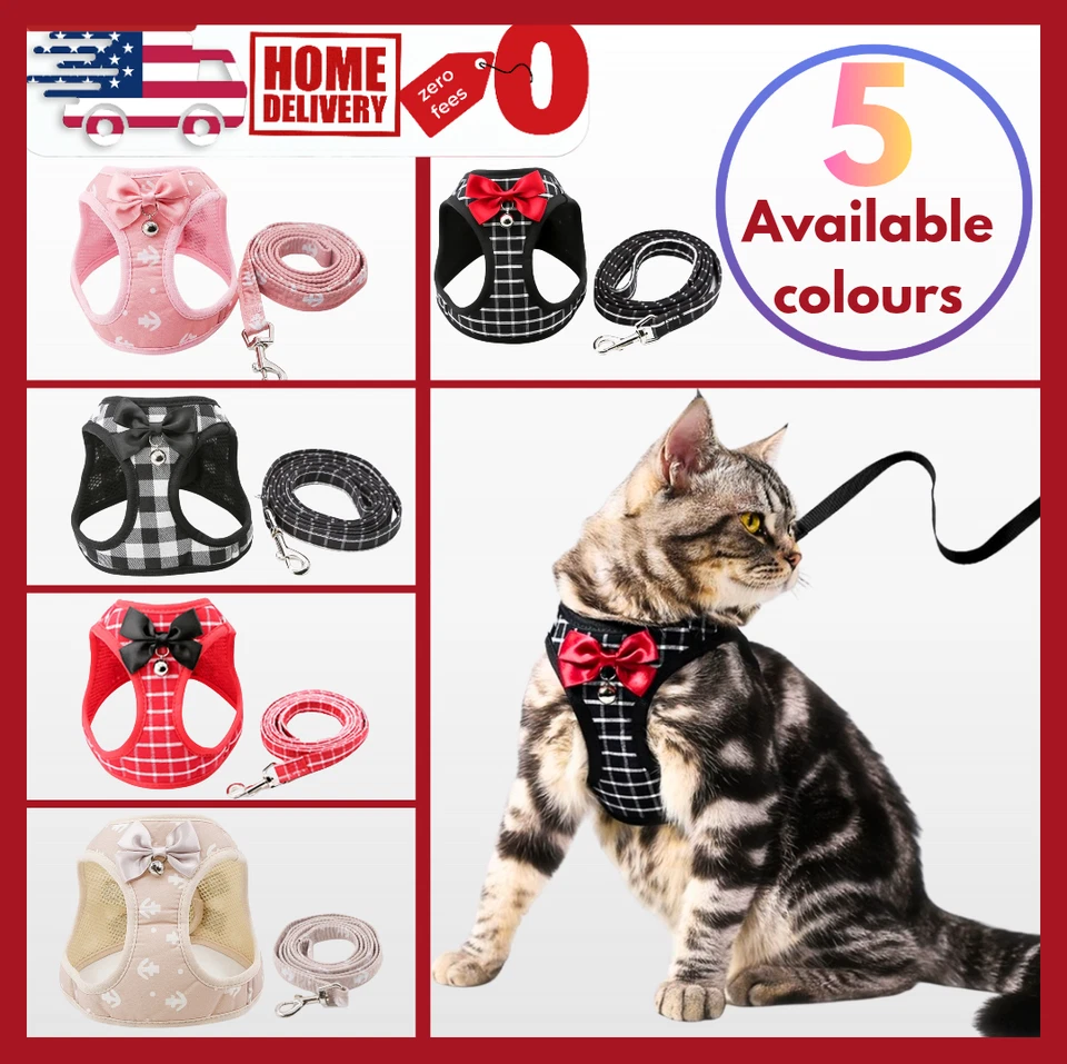 Arnés y correa para gato chaleco para caminar a prueba de escape reflectante ajustable Foto 1 de 4