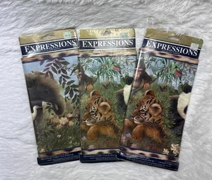Expressions Wallpaper Border Jungle Babies 3 Pack 10.25"x5 Yds Pattern #SB10135B - Picture 1 of 7