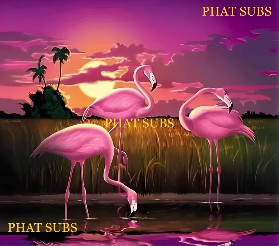 Vaso de sublimación 20 oz envoltura flamencos rosas listo para imprimir Foto 1 de 1