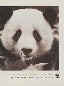 2007 WWF World Wildlife Fund - "Force For Nature" - Panda Bear - Print Ad Photo - Picture 1 of 1
