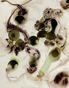 Jose Tonito Original Painting.FLUIDITY.Unique Organic abstract.Otherworldly art - Picture 1 of 3