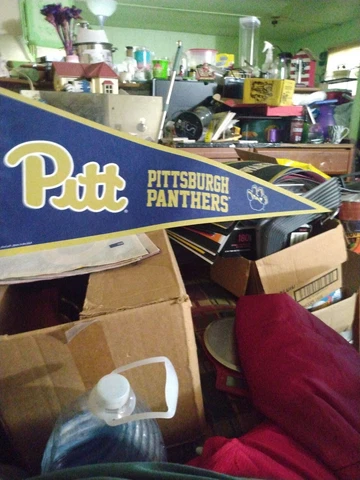 PITTSBURGH PANTHERS COLLEGE VAULT ROLL UP PREMIUM FELT PENNANT 12"x30" WINCRAFT Cover