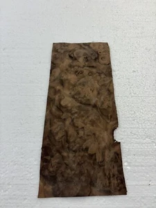 Walnut burl wood veneer 5” x 11” raw no backer 1/42" thickness thin with sapwood - Picture 1 of 2