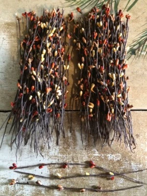 Set/50 Primitive 7" 7in PUMPKIN SPICE Pip Berry Garland Picks Pips Supplies Farm - Image 1 of 4