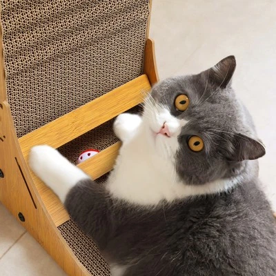 Katzen Kratzbrett Katzenbett Mit Glocke Ball L förmig für Katzen - Bild 1 von 4