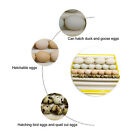 Automatische Eier-Inkubationsschale Inkubator Und Zubehr Tablett-Haushalt