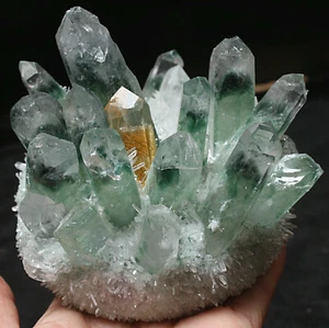 848g Neufund Grün Phantom Quarz Kristall Cluster Präparat - Bild 1 von 10