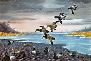 OFFENES WASSER - Schöner Bluebill-Druck s/n von Les Kouba - Neu, kostenloser Versand - Bild 1 von 1
