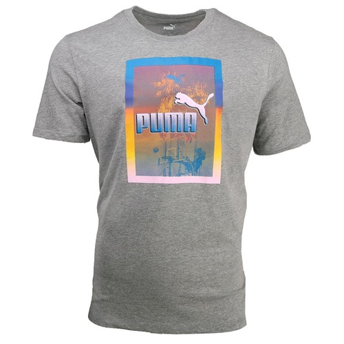 T shirt girocollo manica corta PUMA Palms uomo grigia top casual 68438904