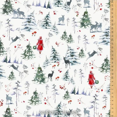 +++ 0,5 Meter ACUFACTUM  Winterspaziergang 2012 +++11/25 +++ - Bild 1 von 4