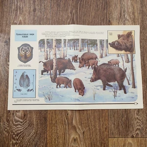 BOAR HUNTING ORIGINAL VINTAGE POSTER - Picture 1 of 2