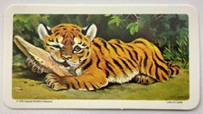 Animals and Their Young Tiger No 29 Red Rose Tea Card CC617
